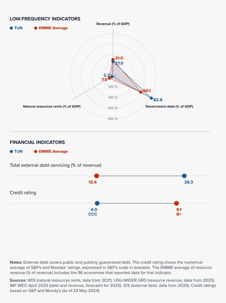 Fiscal indicators visualization